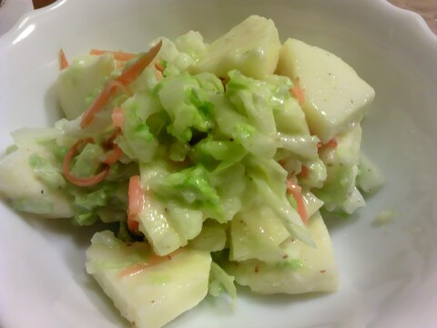白菜と人参のヨーグルトサラダ